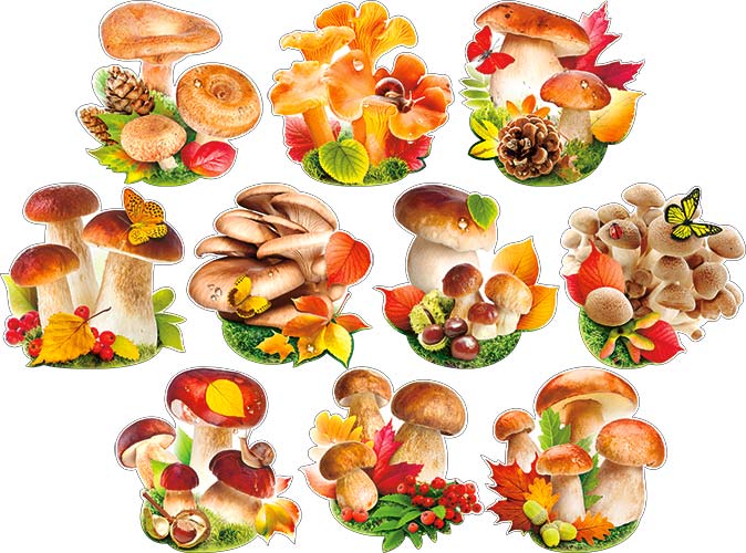 Украшение на скотче 'Грибы', (10 шт;уп), НР-39