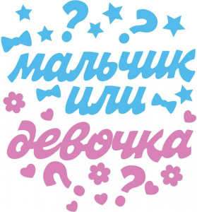 Набор наклеек "Мальчик или девочка", 0200926