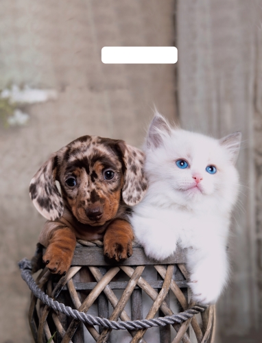 Пакет с вырубной ручкой 31х40см (60) (Пушистая парочка) Глянцевый, ВУР58076