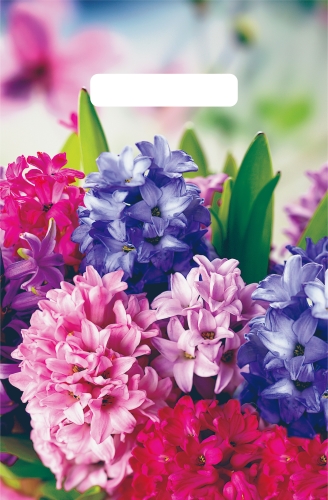 Пакет с вырубной неусиленной ручкой 20х30 (х100) , (Шармель), ВНР55126