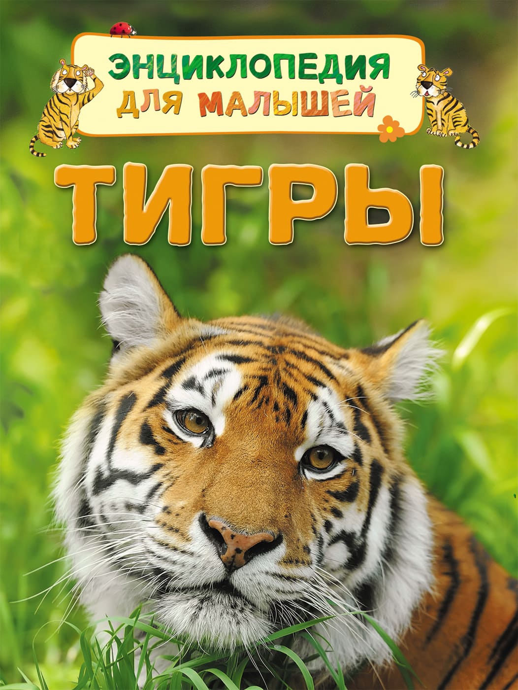 Энциклопедия. Для детей. Тигры, А5, 978-5-353-08013-8