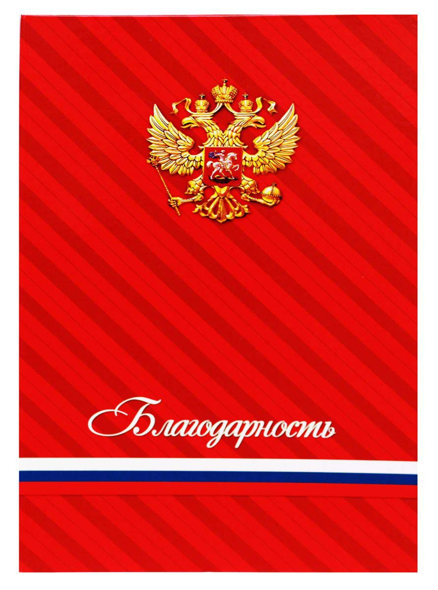 Папка адресная А4 Prof Press 'Благодарность' ламинат, АП-9710