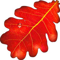 3de12c71-98b0-11e9-90ae-1cc1dee987cb_dc1f02df-98be-11e9-90ae-1cc1dee987cb.resize1