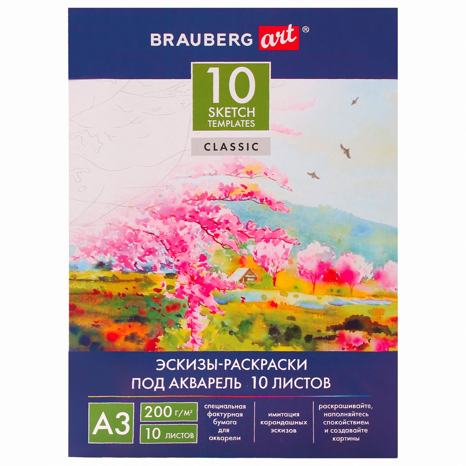 Папка для акварели С ЭСКИЗОМ, БОЛЬШАЯ А3, 10 л., 200 г;м2, 297х420 мм, BRAUBERG, 110065, 111065