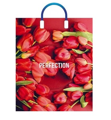 Пакет ПЭ с пластмассовыми ручками 38х45+3см (90) (Совершенство), ПЛР51150