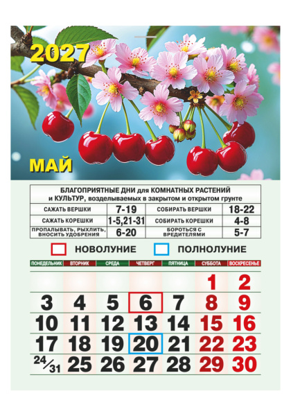 KM-08_1