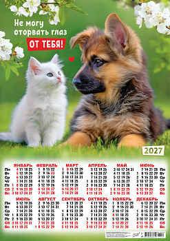 Календарь листовой А2, 2027 год, Кот и пёс. Любовь в каждом взгляде, ПО-27-110