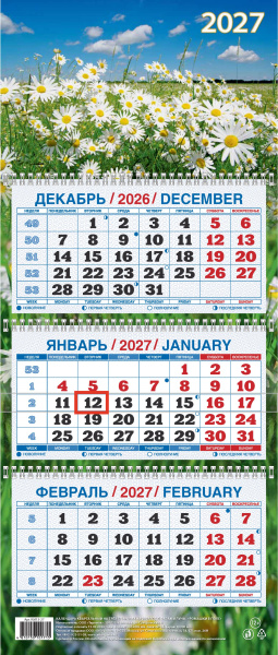 Ромашки в поле